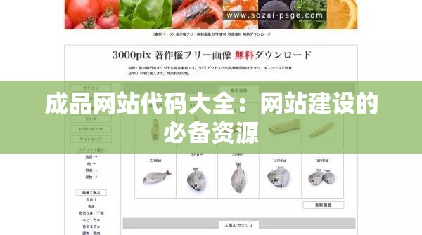 成品网站代码大全：网站建设的必备资源