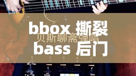 bbox 撕裂 bass 后门 BD：一个独特音乐现象的深度剖析