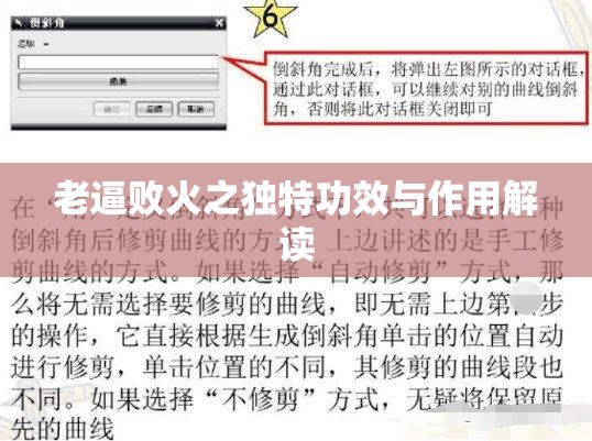 老逼败火之独特功效与作用解读