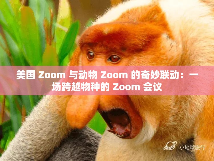 美国 Zoom 与动物 Zoom 的奇妙联动：一场跨越物种的 Zoom 会议