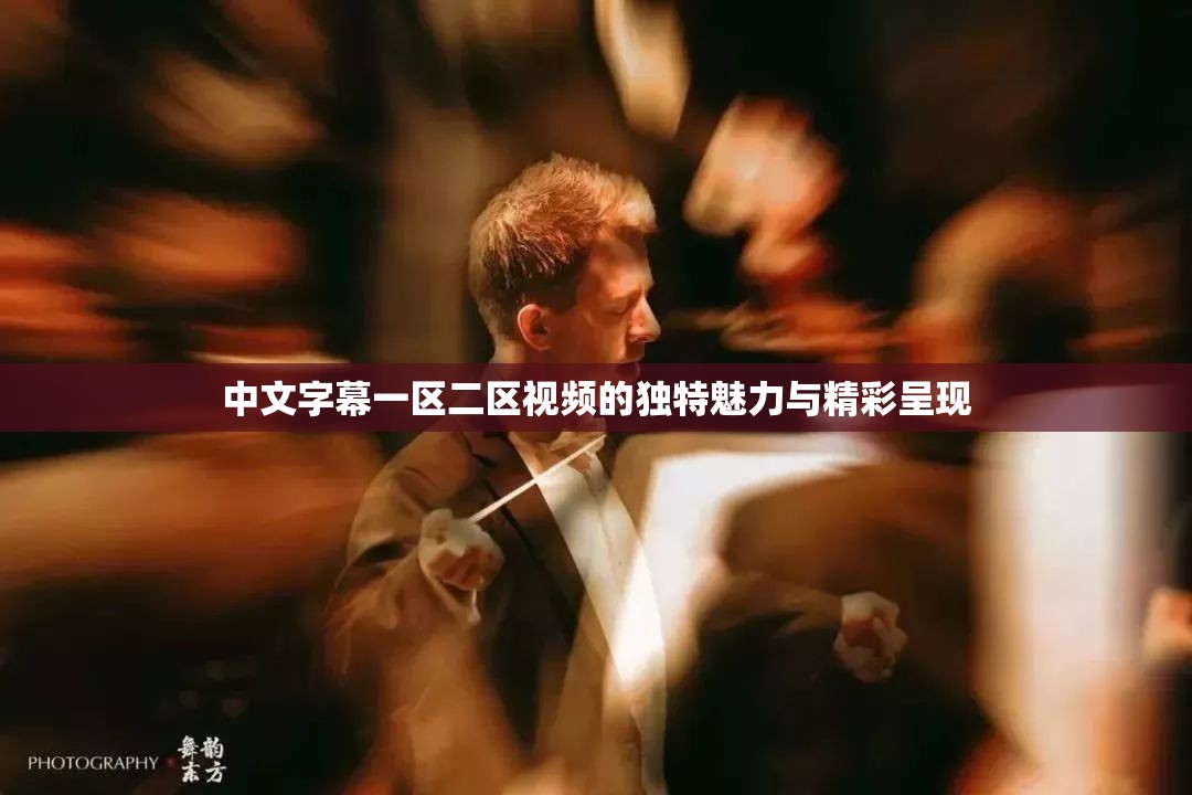 中文字幕一区二区视频的独特魅力与精彩呈现
