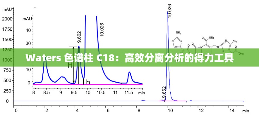 Waters 色谱柱 C18：高效分离分析的得力工具