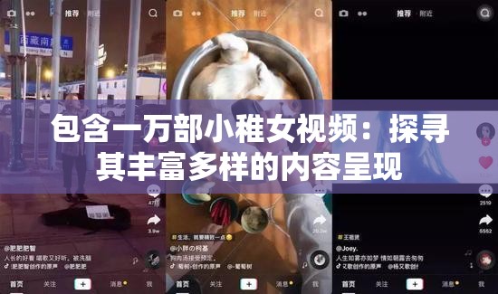 包含一万部小稚女视频：探寻其丰富多样的内容呈现