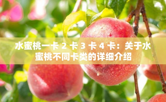 水蜜桃一卡 2 卡 3 卡 4 卡：关于水蜜桃不同卡类的详细介绍