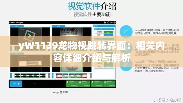 yW1139龙物视跳转界面：相关内容详细介绍与解析