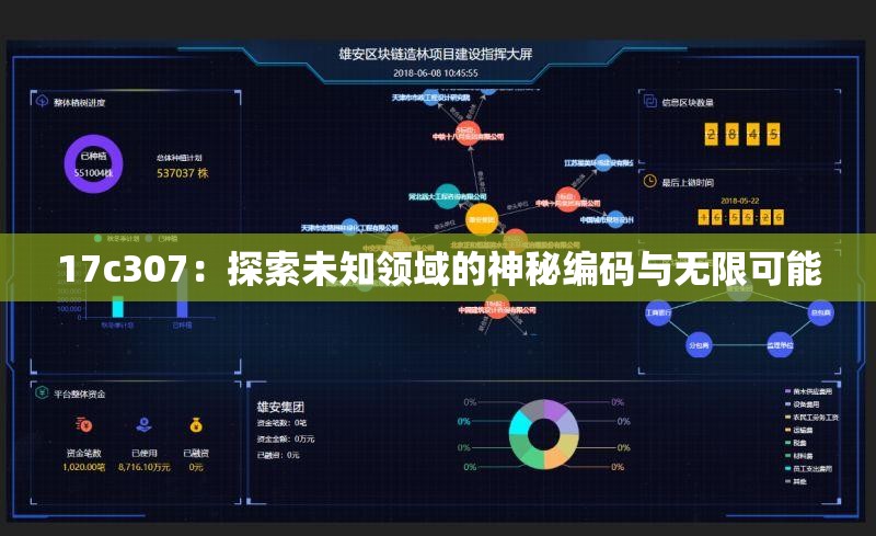 17c307：探索未知领域的神秘编码与无限可能