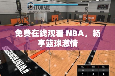 免费在线观看 NBA，畅享篮球激情