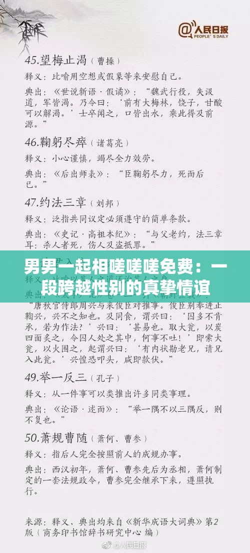 男男一起相嗟嗟嗟免费：一段跨越性别的真挚情谊