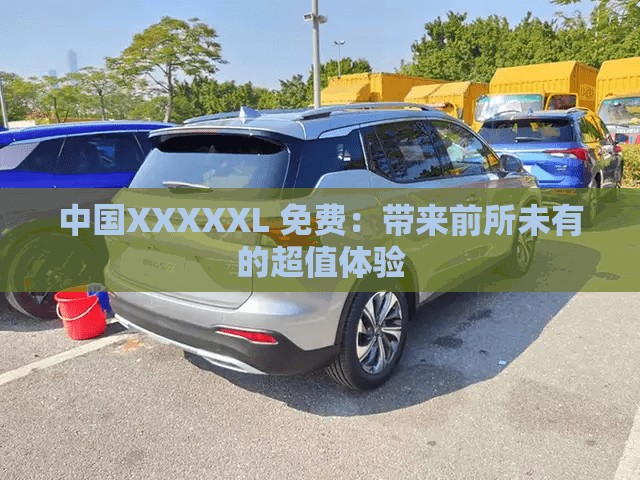 中国XXXXXL 免费：带来前所未有的超值体验