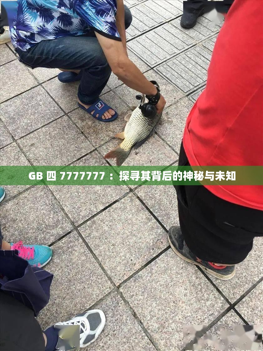 GB 四 7777777 ：探寻其背后的神秘与未知