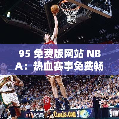 95 免费版网站 NBA：热血赛事免费畅享