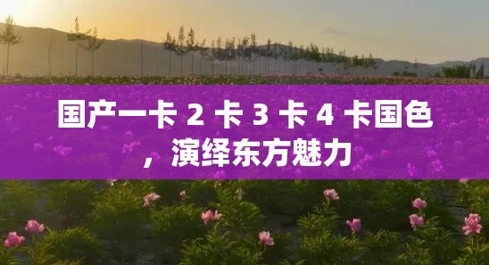 国产一卡 2 卡 3 卡 4 卡国色，演绎东方魅力