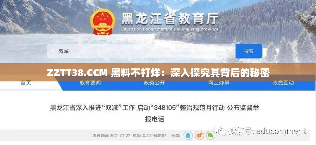 ZZTT38.CCM 黑料不打烊：深入探究其背后的秘密