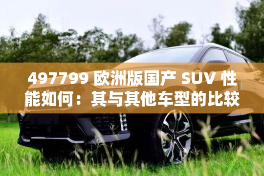 497799 欧洲版国产 SUV 性能如何：其与其他车型的比较分析