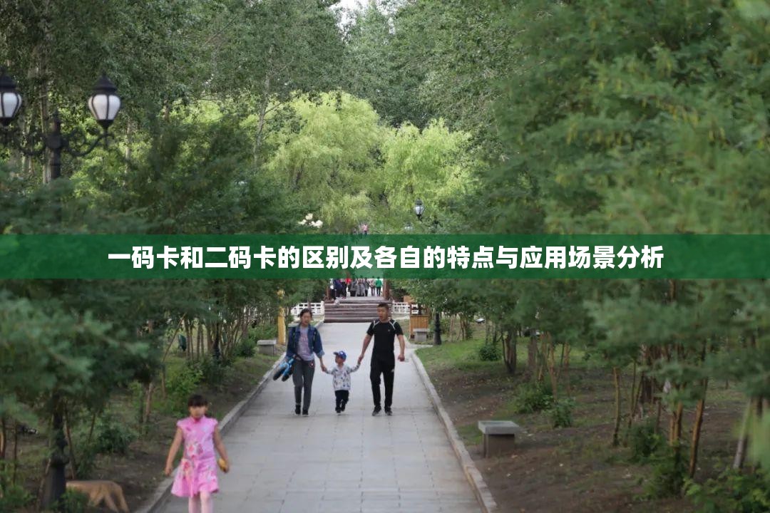 一码卡和二码卡的区别及各自的特点与应用场景分析