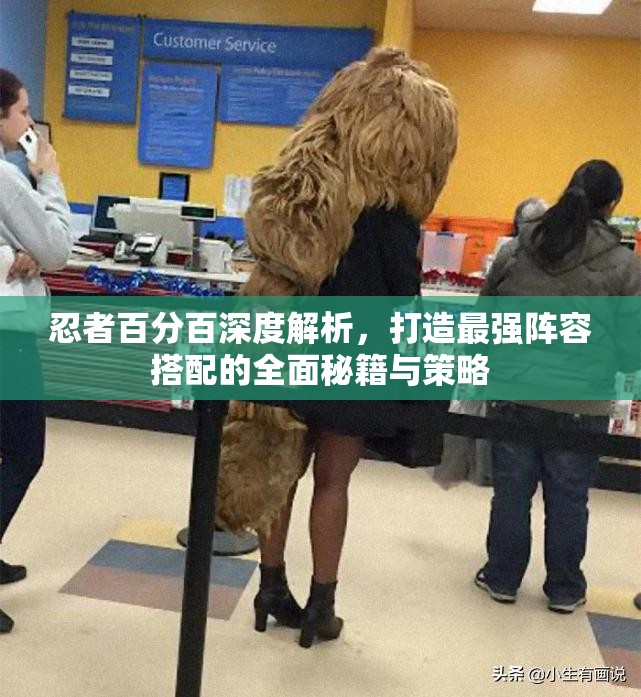 忍者百分百深度解析，打造最强阵容搭配的全面秘籍与策略