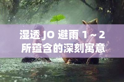 湿透 JO 避雨 1～2 所蕴含的深刻寓意及对人生的启示