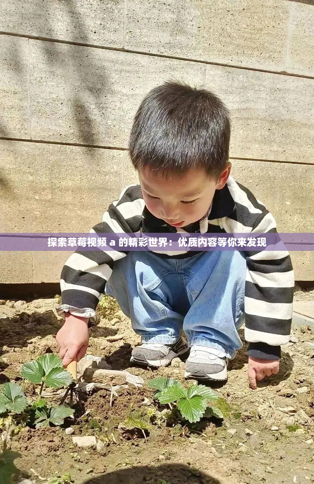探索草莓视频 a 的精彩世界：优质内容等你来发现