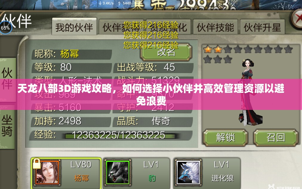 天龙八部3D游戏攻略，如何选择小伙伴并高效管理资源以避免浪费