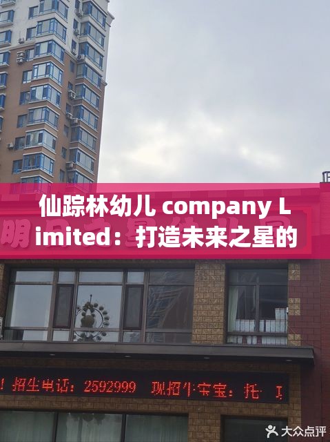 仙踪林幼儿 company Limited：打造未来之星的摇篮