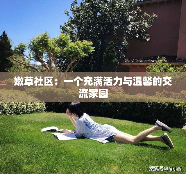 嫩草社区：一个充满活力与温馨的交流家园