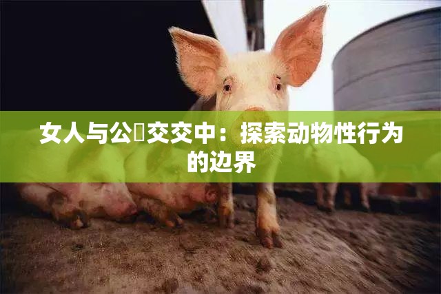 女人与公豬交交中：探索动物性行为的边界