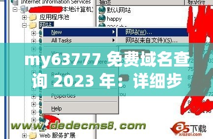 my63777 免费域名查询 2023 年：详细步骤与实用技巧分享