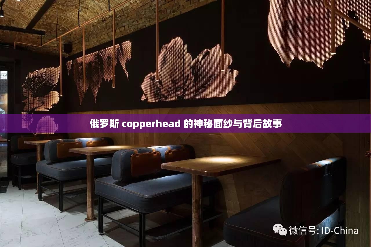 俄罗斯 copperhead 的神秘面纱与背后故事