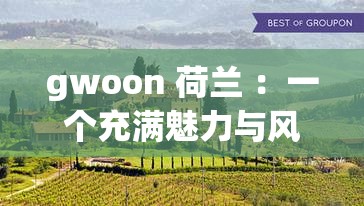 gwoon 荷兰 ：一个充满魅力与风情的欧洲国度