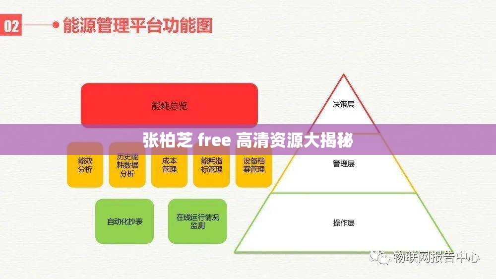 张柏芝 free 高清资源大揭秘