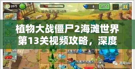 植物大战僵尸2海滩世界第13关视频攻略，深度解析通关技巧与策略