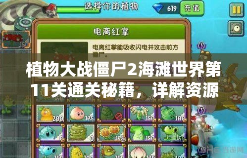 植物大战僵尸2海滩世界第11关通关秘籍，详解资源管理的重要性与高效利用策略