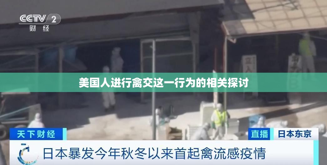 美国人进行禽交这一行为的相关探讨