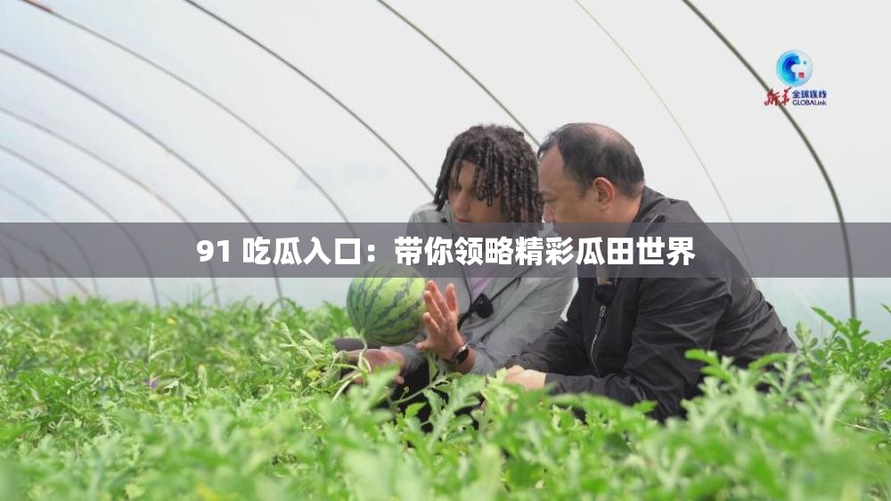 91 吃瓜入口：带你领略精彩瓜田世界