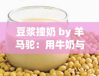 豆浆撞奶 by 羊马驼：用牛奶与豆浆碰撞出的奇妙口感