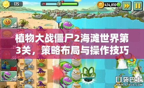 植物大战僵尸2海滩世界第3关，策略布局与操作技巧的双重考验与完美融合