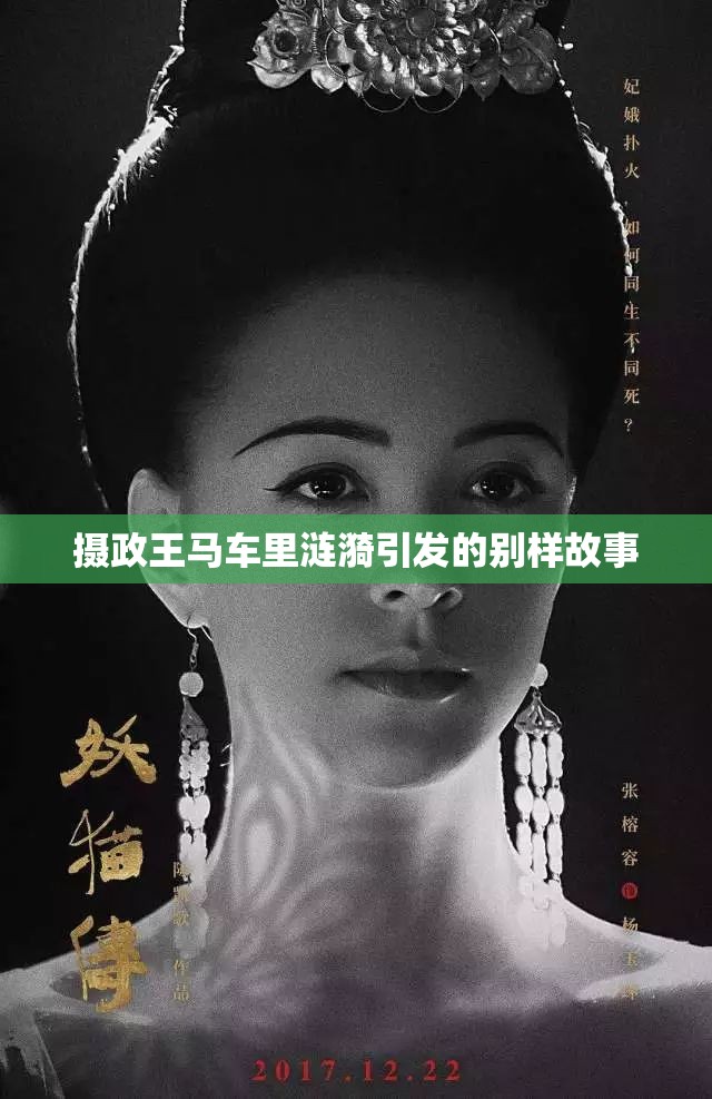 摄政王马车里涟漪引发的别样故事