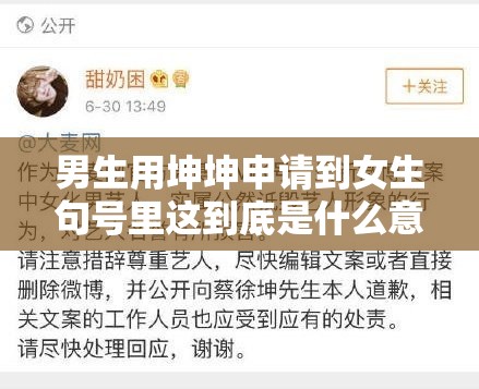 男生用坤坤申请到女生句号里这到底是什么意思呢