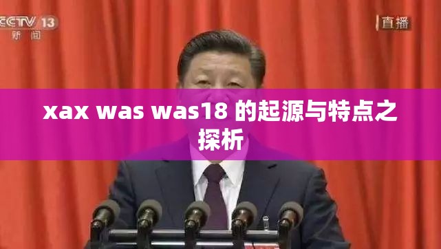 xax was was18 的起源与特点之探析