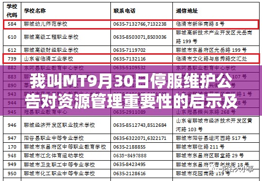 我叫MT9月30日停服维护公告对资源管理重要性的启示及高效策略探讨