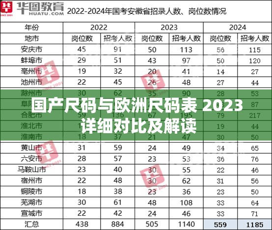 国产尺码与欧洲尺码表 2023 详细对比及解读
