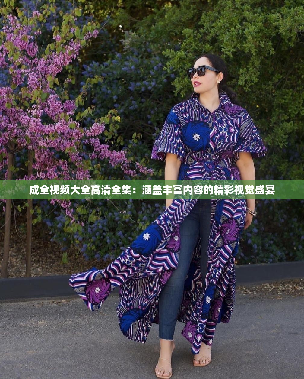 成全视频大全高清全集：涵盖丰富内容的精彩视觉盛宴