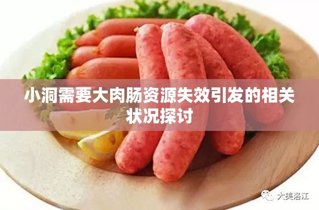 小洞需要大肉肠资源失效引发的相关状况探讨