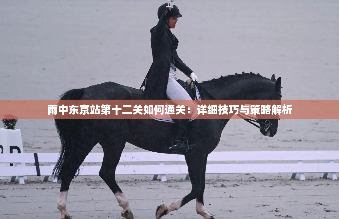 雨中东京站第十二关如何通关：详细技巧与策略解析