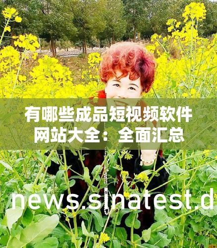 有哪些成品短视频软件网站大全：全面汇总
