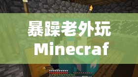 暴躁老外玩 Minecraft 之疯狂冒险之旅