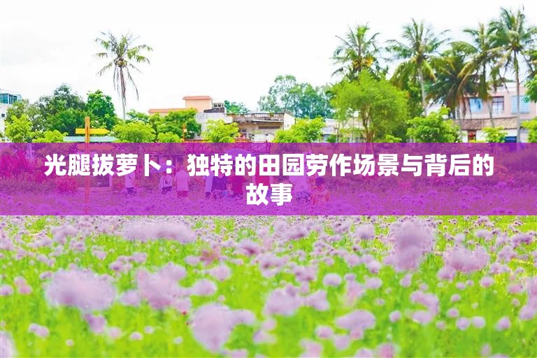 光腿拔萝卜：独特的田园劳作场景与背后的故事