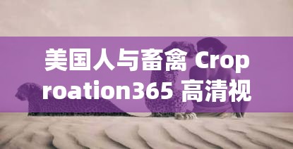 美国人与畜禽 Croproation365 高清视频免费看：探索人类与动物的奇妙关系