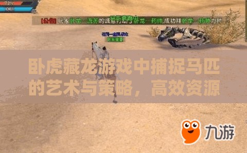 卧虎藏龙游戏中捕捉马匹的艺术与策略，高效资源管理技巧