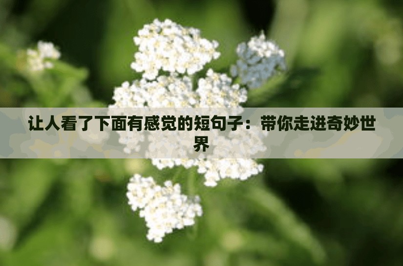 让人看了下面有感觉的短句子：带你走进奇妙世界